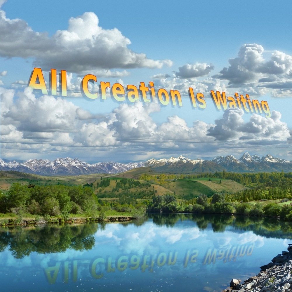 Album front cover store 2 