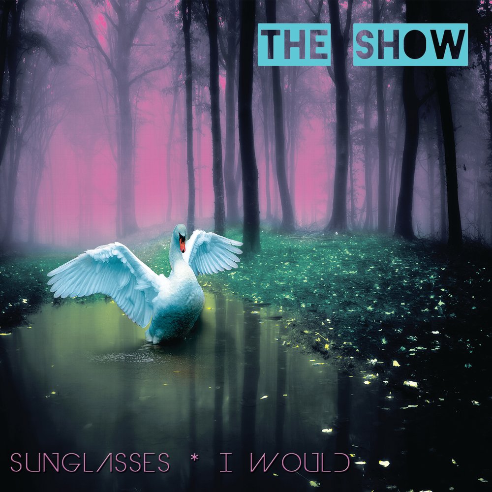 1457203196 sunglasses i would cover