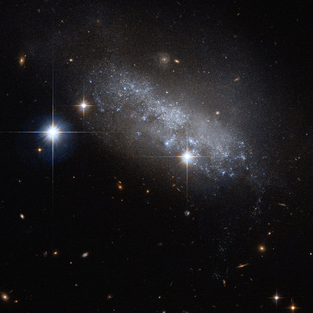 Potw1648a