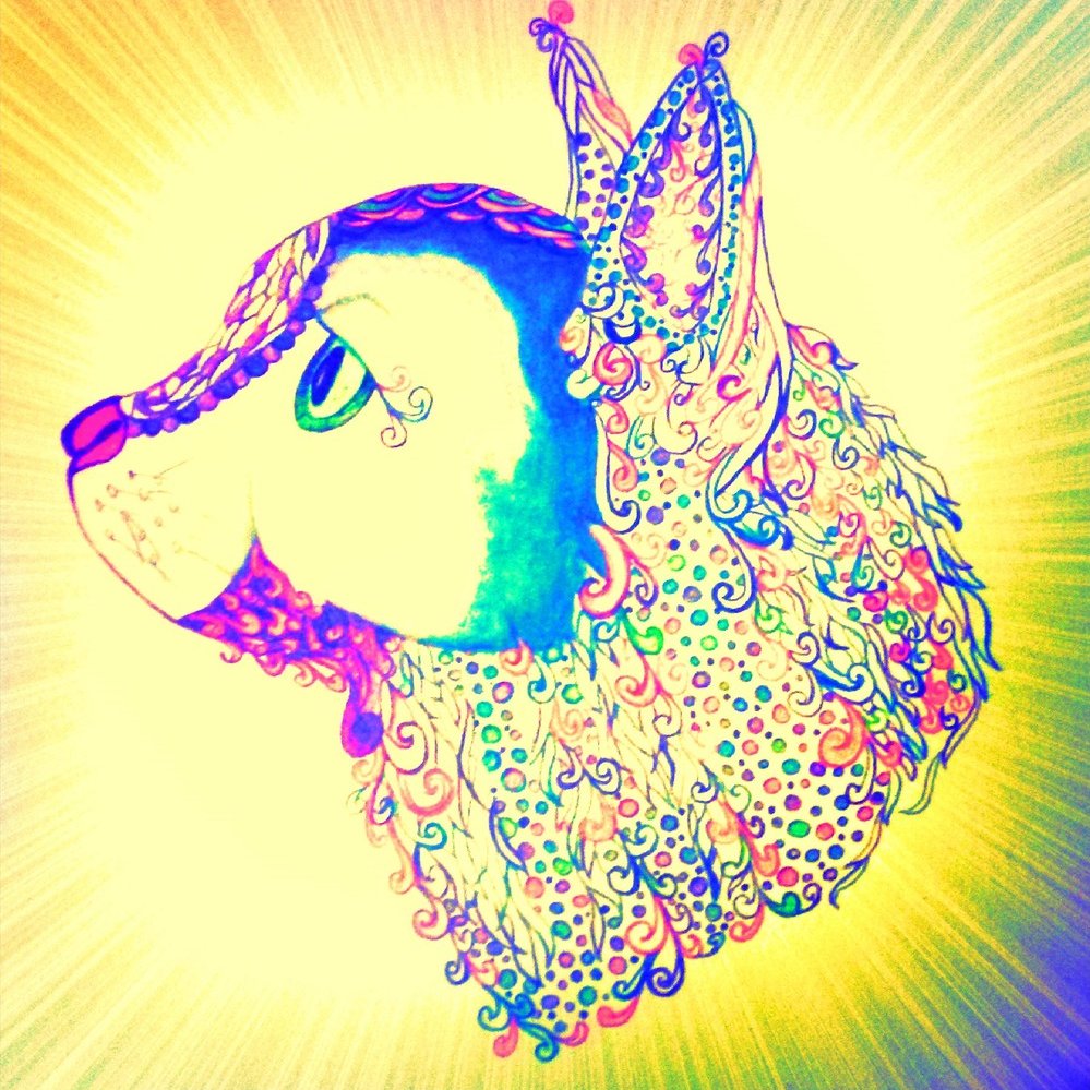 Djcataractslogo3