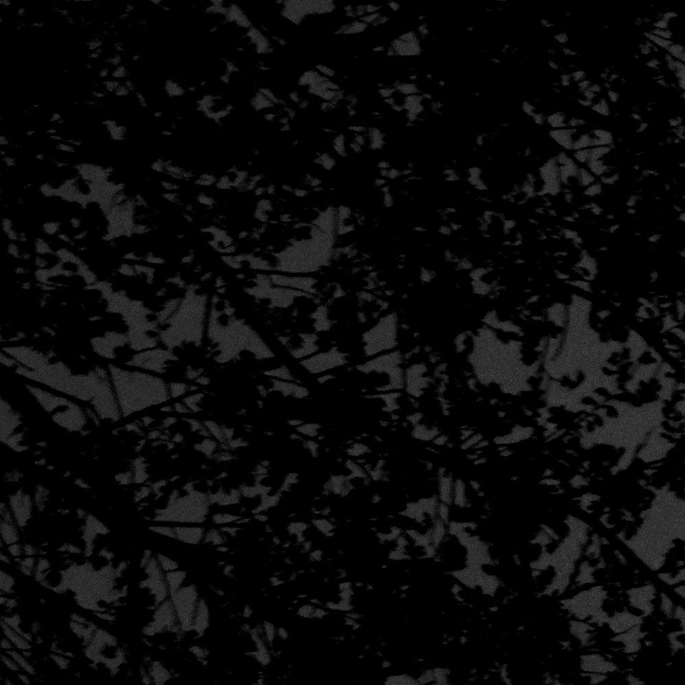 Dsc 0216 1