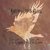 Coyote crow6