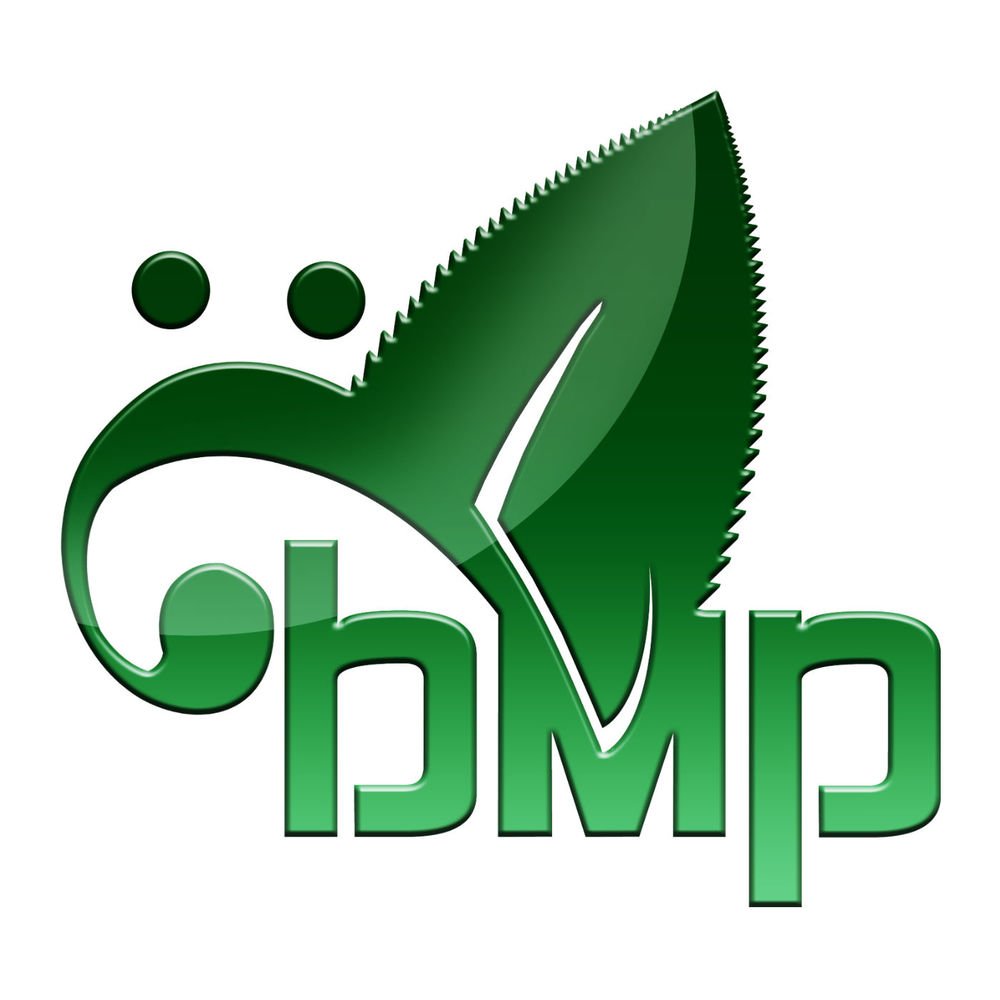BassMint Pros aka BMP!~ (TM) Songs | ReverbNation BassMint Pros aka BMP!~ (TM) Songs
