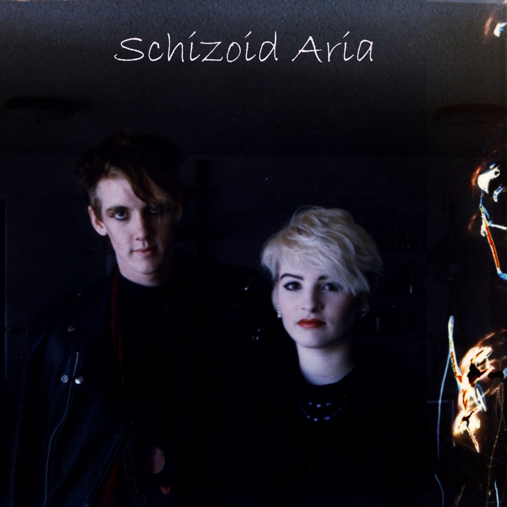 Schizoidaria art