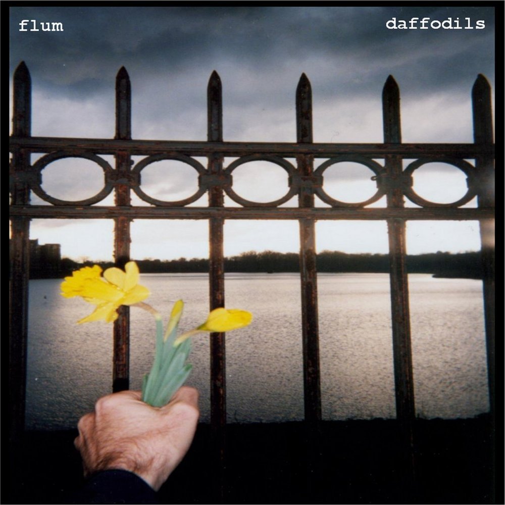 Flum daffodils coverart2013 1024