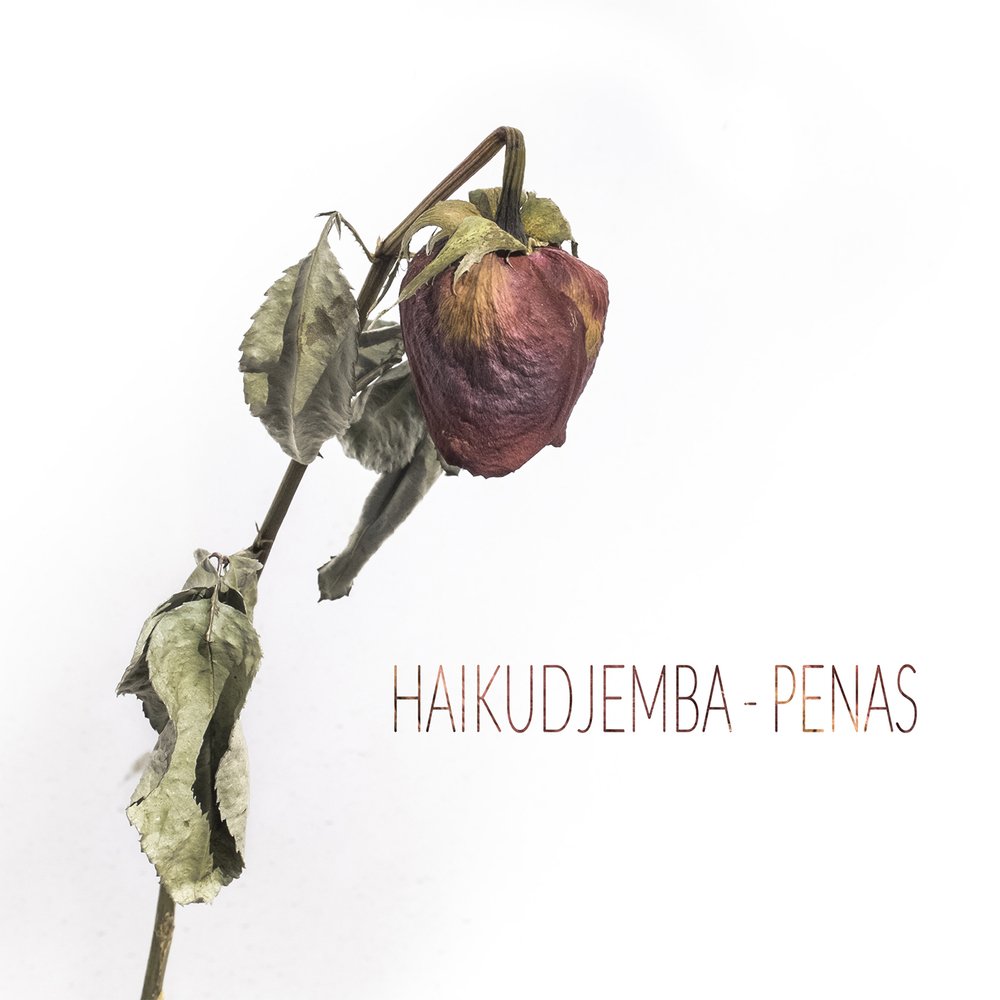 1 haikudjemba   penas portada