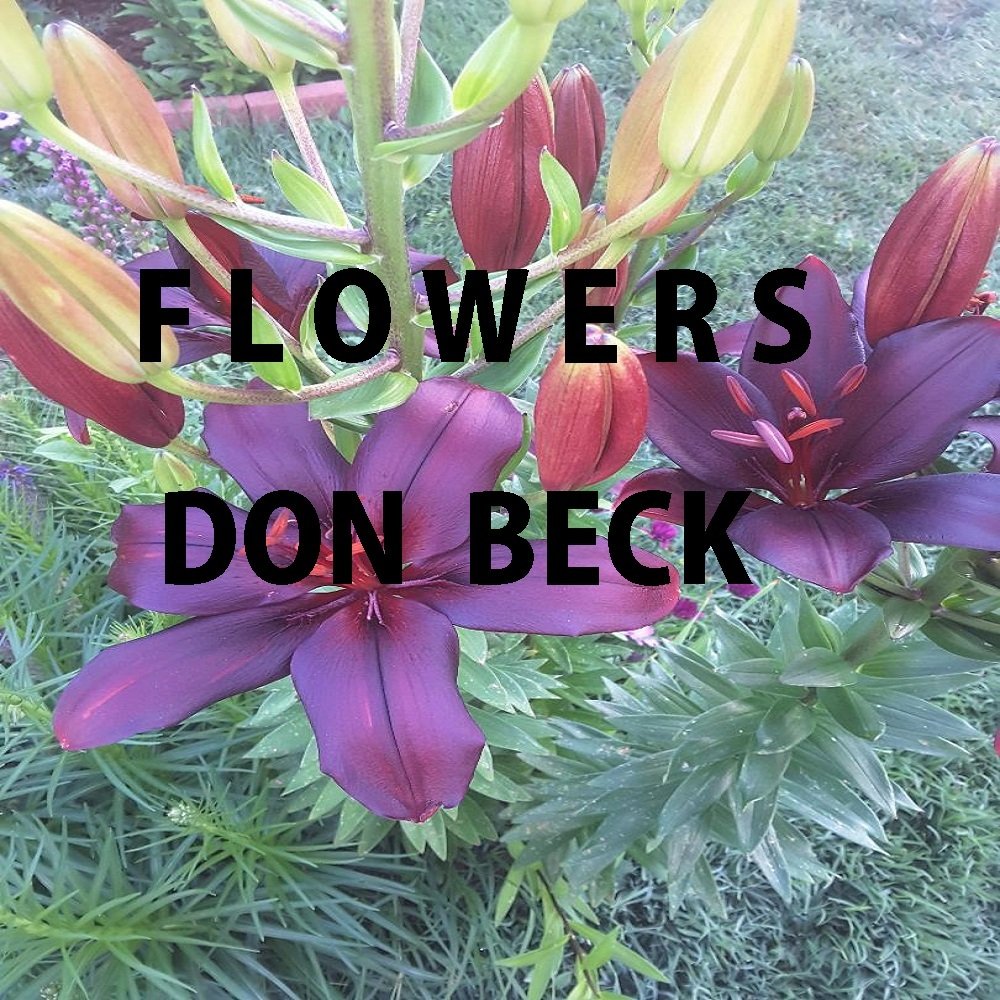 Flowers front cover