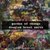 Garden of change cover
