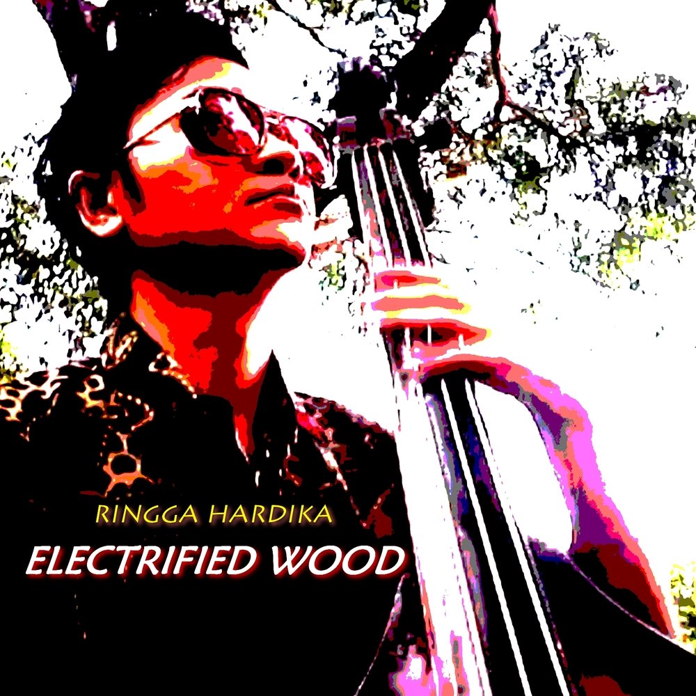Cd cover electrified wood