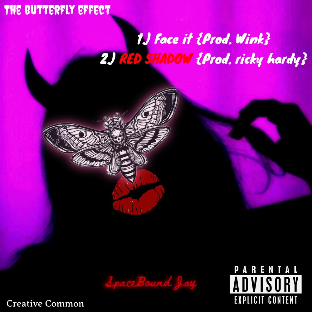 The butterfly effect