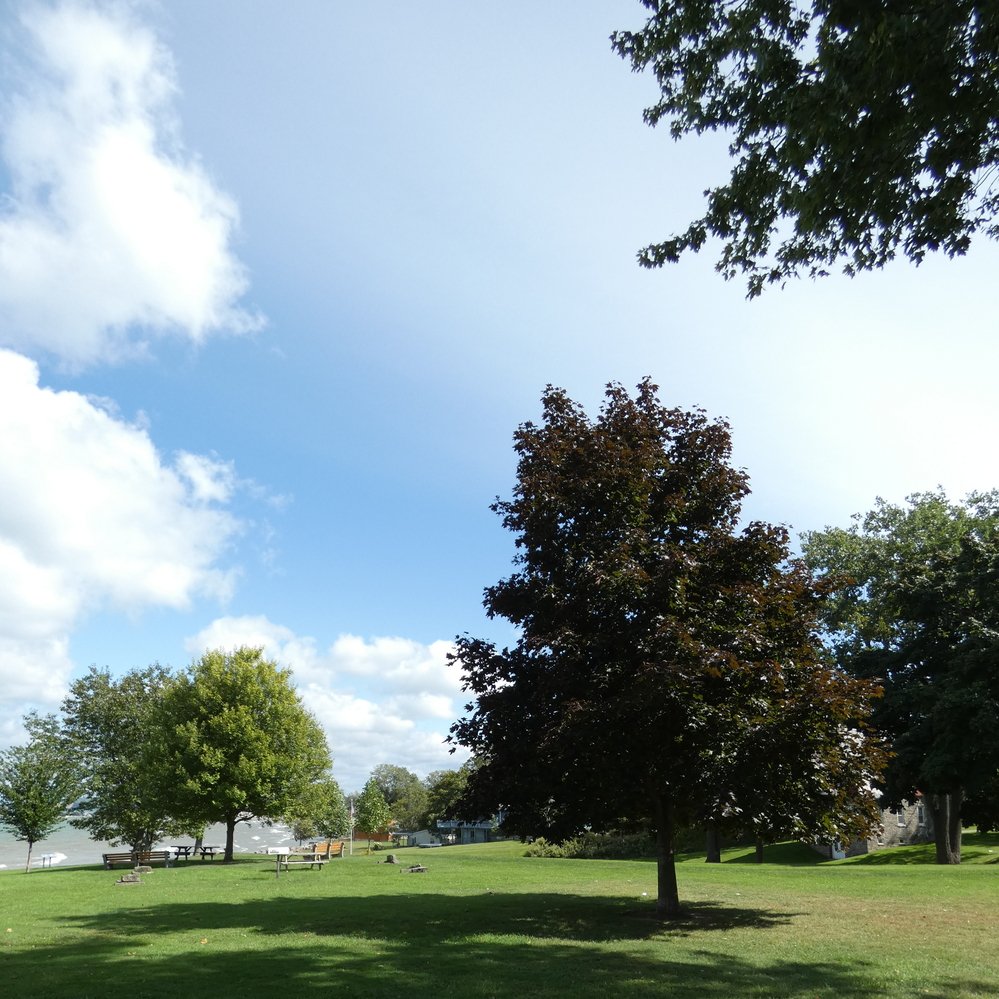 P1010170
