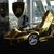 101039516 golden lambo
