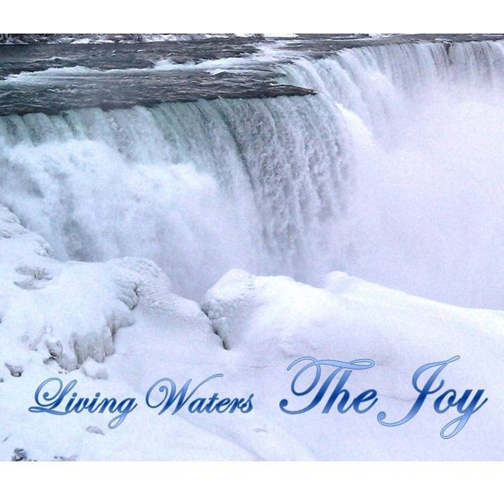 The joy album cover square large