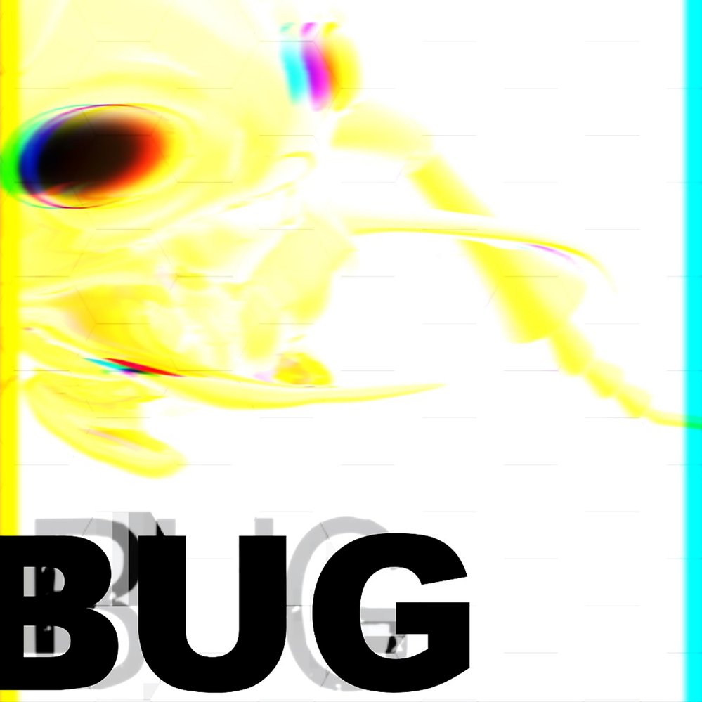 Bug 2 final