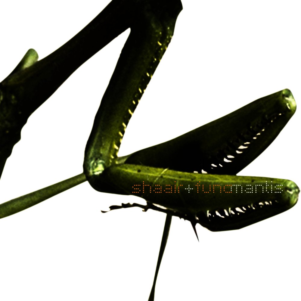 S f mantis   album cover 