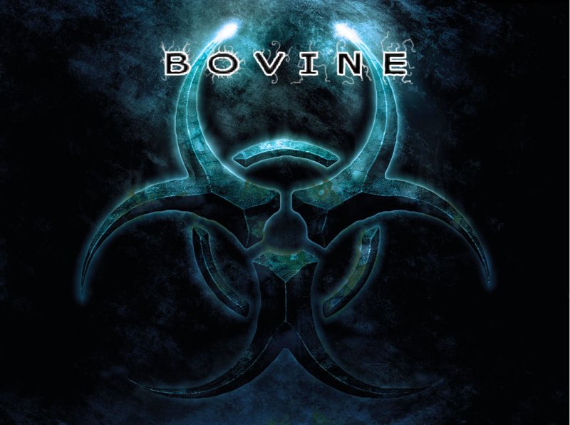 ReverbNation profile picture for @bovine