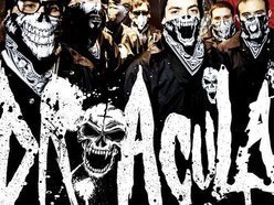 Image for Dr Acula
