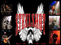 Steelshot