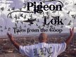 PIGEON LOK