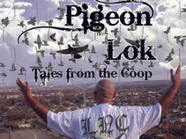PIGEON LOK
