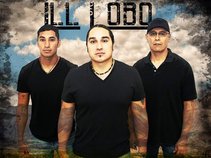 ill Lobo