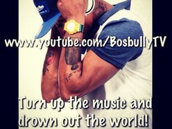 Image for Bosboy