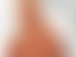 1445127638 paris prof pic03