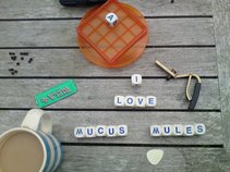 Mucus Mules