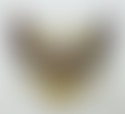 1399409600 838633299498074 472190076 n