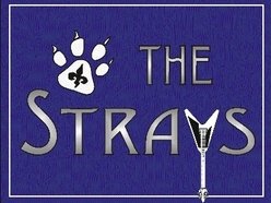 Image for Michael Aaron & The Strays