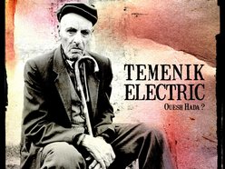 Image for Temenik Electric