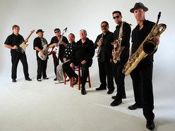Image for COLD SHOTT and The Hurricane Horns