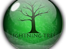 lightning tree