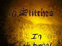 Image for 16 Stitches