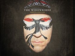 Image for The Widowbirds