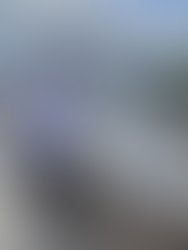 81f89baf 758c 4005 8591 a595a9e91941