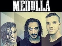 Medulla