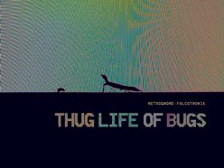 Image for Metrognome:Falcotronik