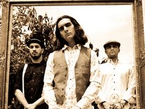 Pine Mountain Casket