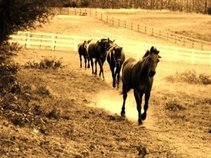 "Runaway Rodeo" with Mark Daniel