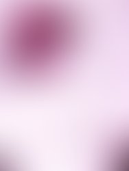 1337986817 l 650f818b7a5e4094b96ca81f54826a0e