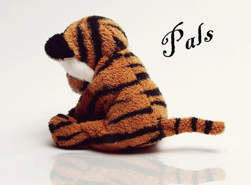 ReverbNation profile picture for @pals