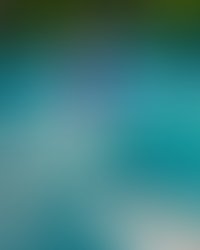 Resized ms 20money 20dsc1507