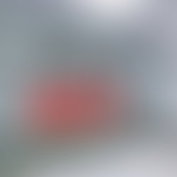 Artist 1025392 1486387551