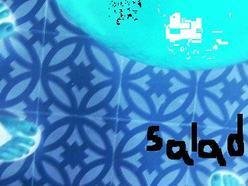 ReverbNation profile picture for @salad