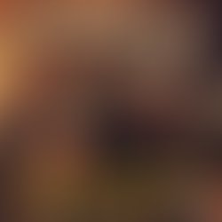 Everglades boss   4th chapter sessions