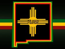 NATIVE ROOTS
