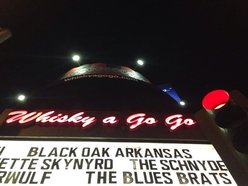 Image for The BluesBrats