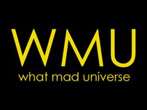 What Mad Universe