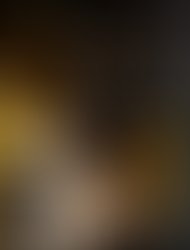 Skyprofile left1 1286933984